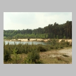 Ammophila sabulosa - Sandwespe 01.jpg